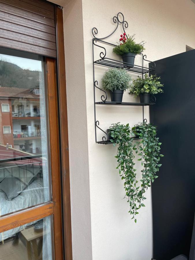 Piso Victoria Apartment Guardiola de Berga Ngoại thất bức ảnh