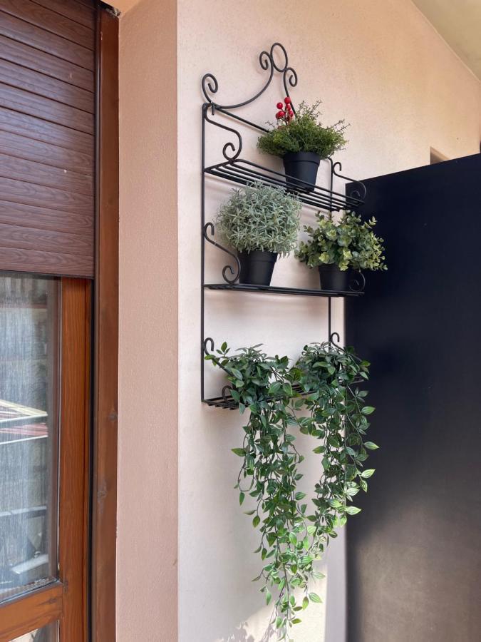 Piso Victoria Apartment Guardiola de Berga Ngoại thất bức ảnh